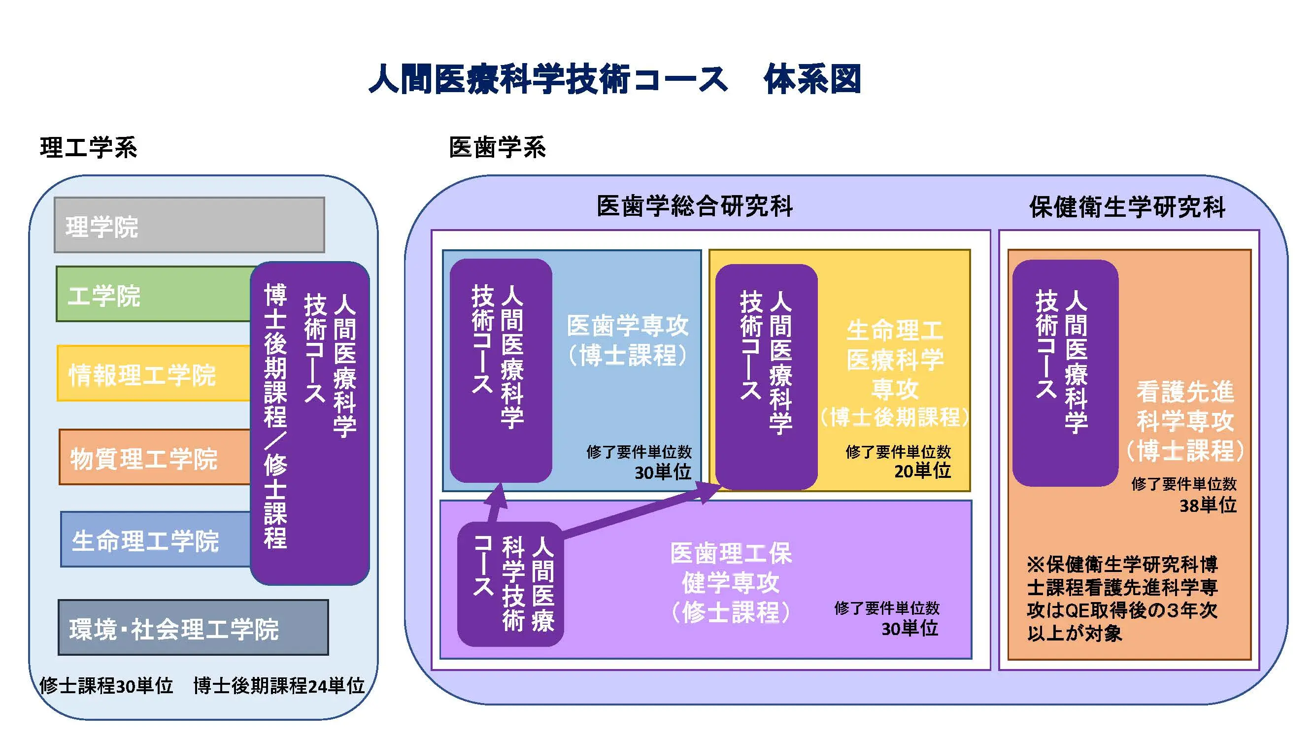 人間医療科学技術コース体系図