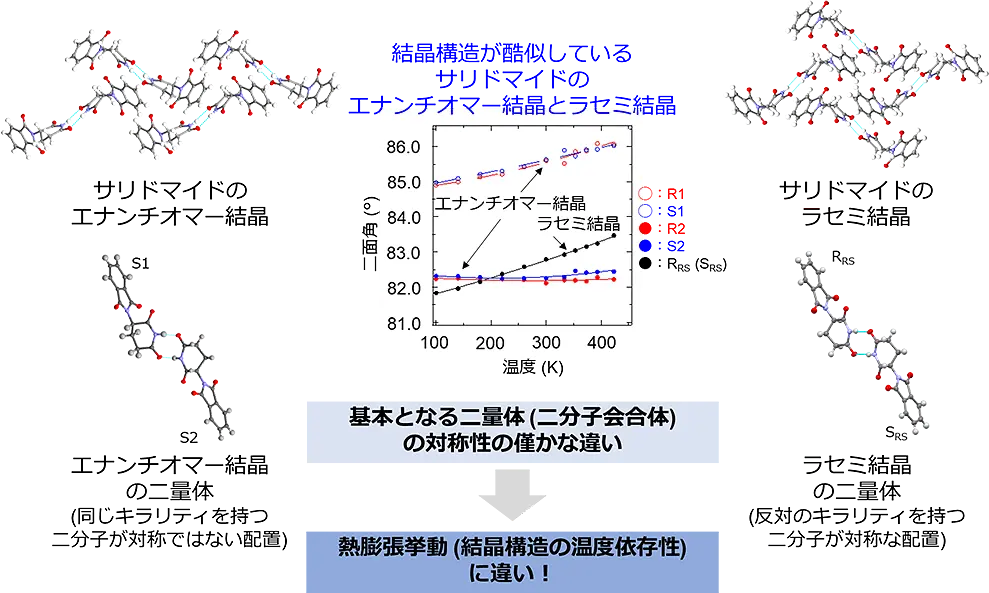 本研究成果の概要