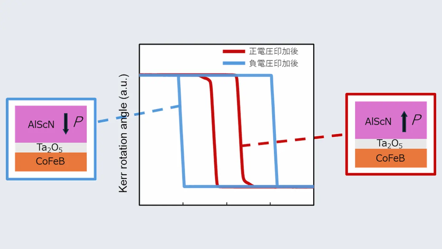 強誘電体研究の新展開 概要）強誘電体研究の新展開 ～材料開発から誘電体ナノ特性、計算科学
