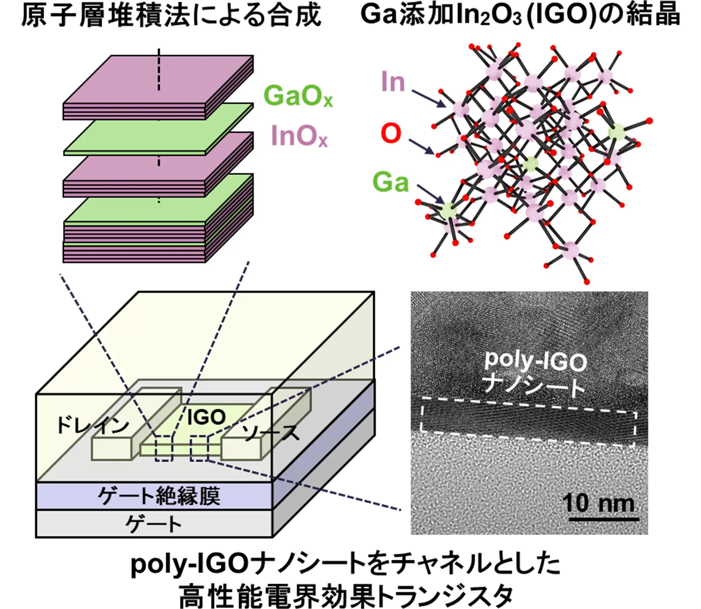 次世代半導体デバイス向け高性能/高機能な多結晶酸化物半導体材料 poly-IGO ナノシートを開発～次世代半導体の高性能化・高集積化・低消費電力化に期待～