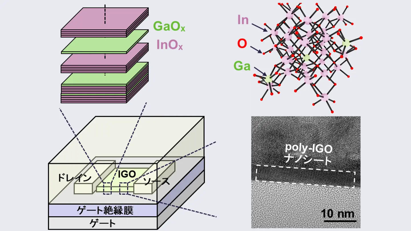 次世代半導体デバイス向け高性能/高機能な多結晶酸化物半導体材料 poly