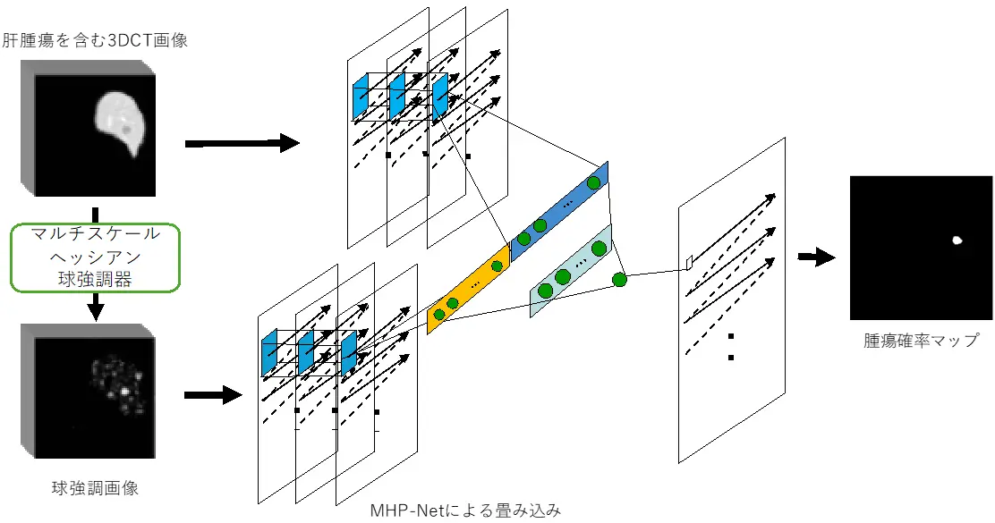 少数データの学習でも正確な肝腫瘍抽出を学ぶ スモールデータAIを開発～高性能な医療AIを低コストで開発可能に～