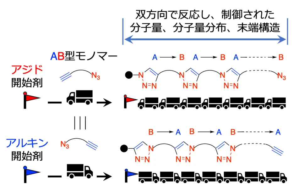 クリック反応を使った自在な高分子合成手法の開発に成功 | Science