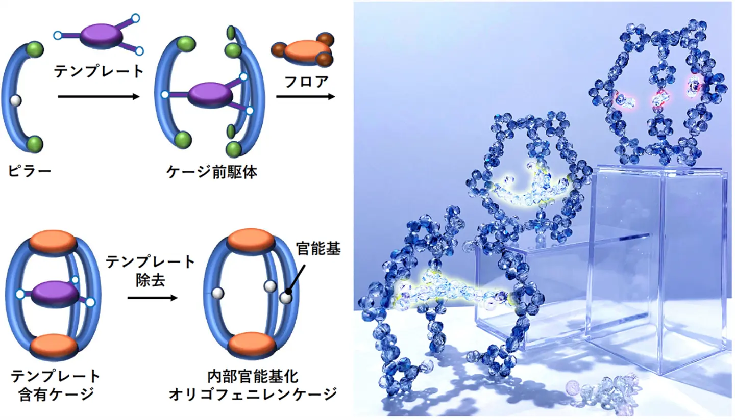 官能基化ナノケージの高効率な合成法を開発～機能性有機ホスト材料の開発に向けて～