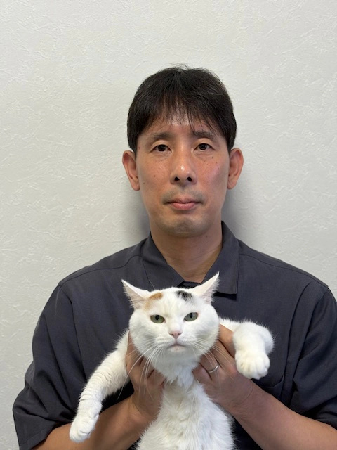テキスト