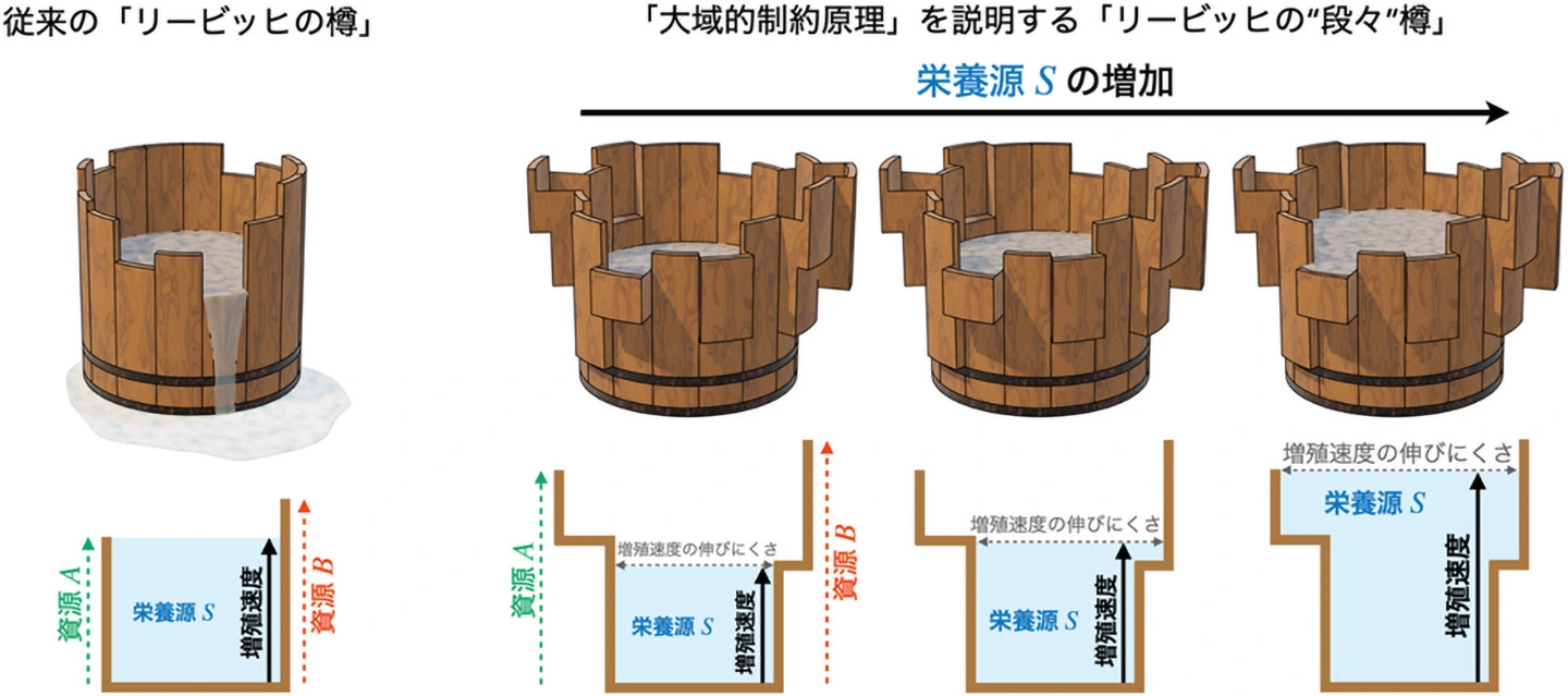  Science Tokyo - 東京科学大学 Illustration 
