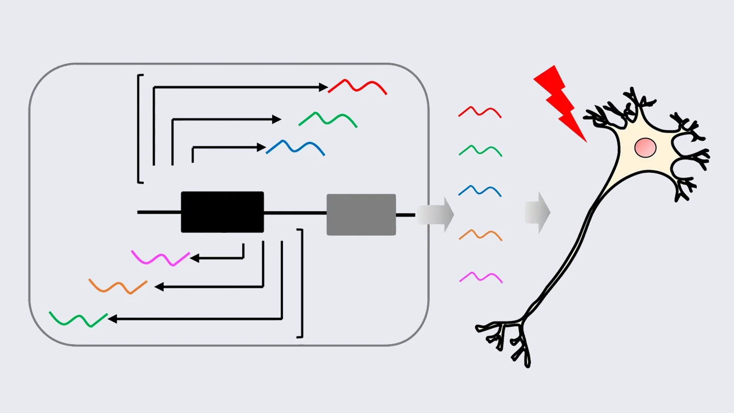 外科学 過去の市民講座：第50回｜日本外科学会