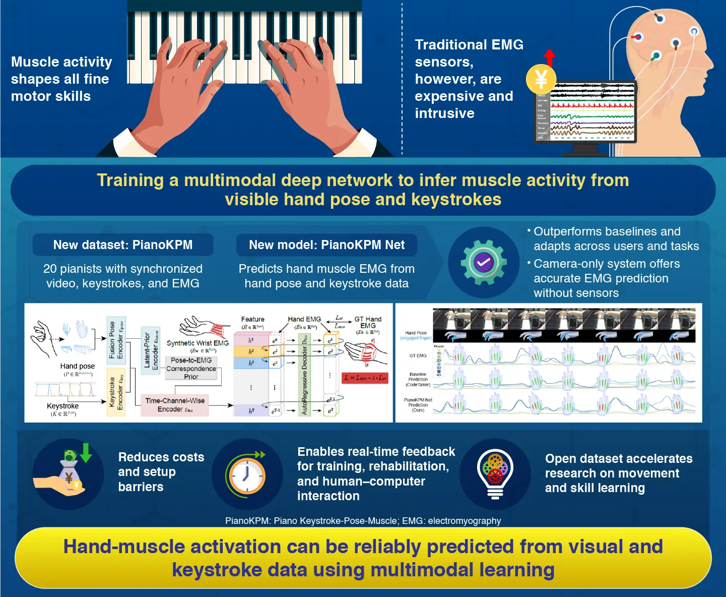 From Pose to Muscle: Multimodal Learning for Piano Hand Muscle Electromyography