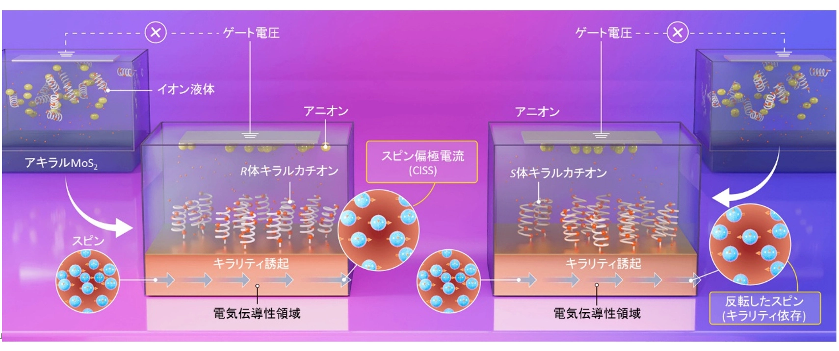 化学結合なしで電気的に半導体をキラル化～「電気的キラリティ制御」という新パラダイムを開く～