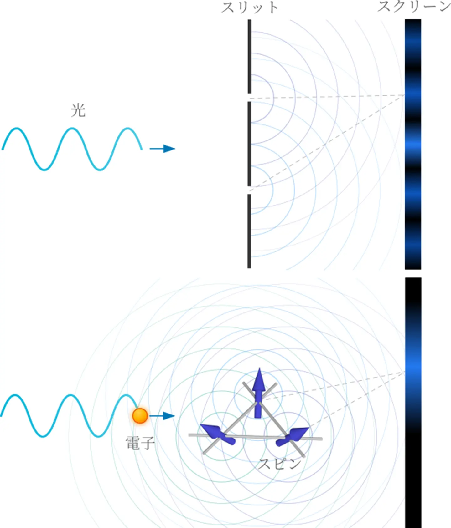 高伝導金属における異常ホール効果を理解する理論を提唱～電子の量子位相干渉と磁気相関の協奏効果を理論的に解明～
