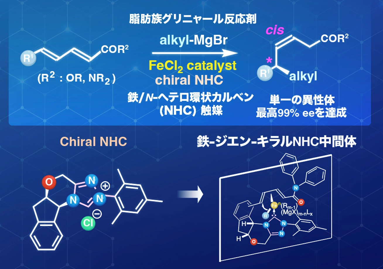 鉄触媒で遠隔位置の炭素–炭素結合形成を精密制御～レアメタルに頼らないサステイナブル不斉合成法を実現～