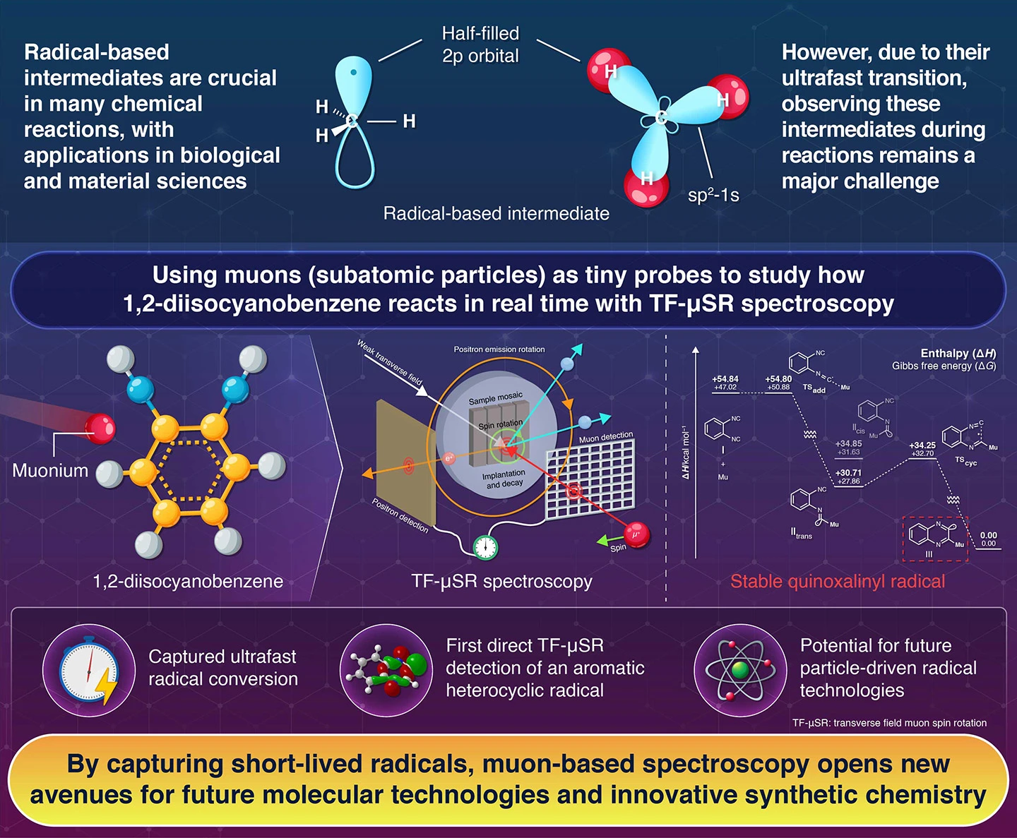 Muonium-Driven Radical Formation Tracked in Real time Using TF-&micro;SR