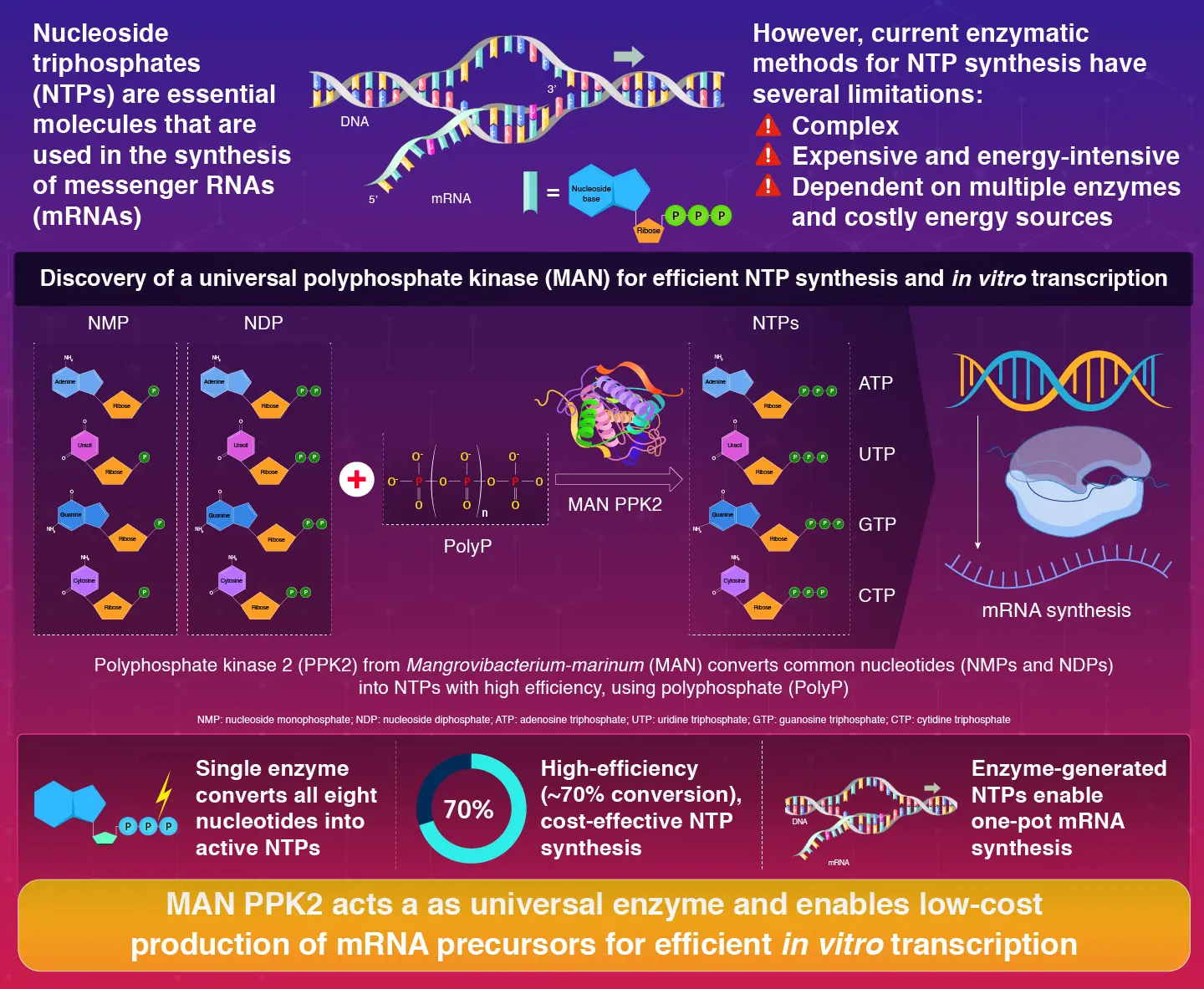 A universal polyphosphate kinase powers in vitro transcription