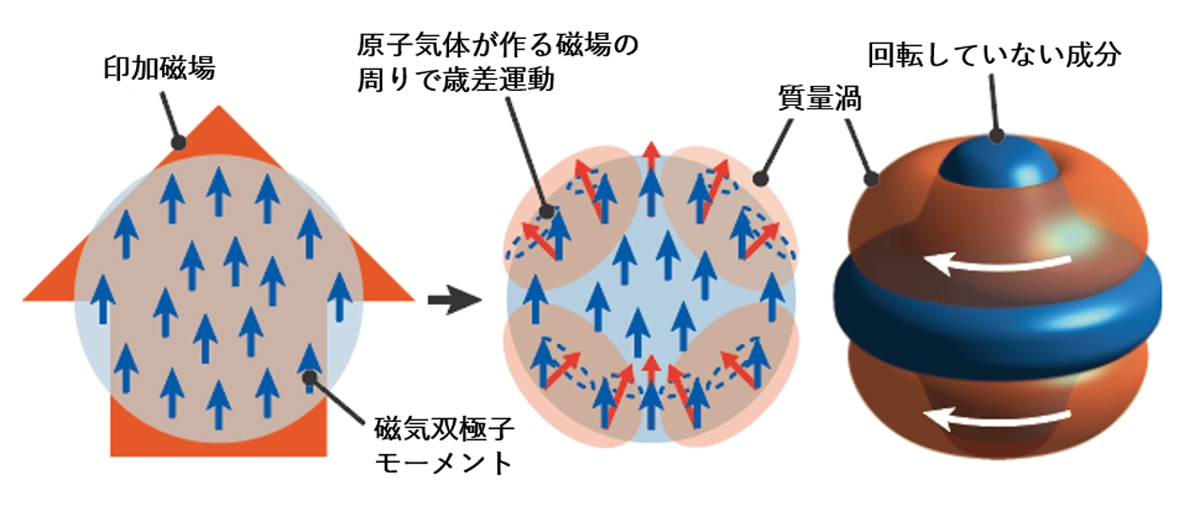 磁性量子気体におけるアインシュタイン=ド・ハース効果の観測～アインシュタインの名を冠する2つの概念が交差～