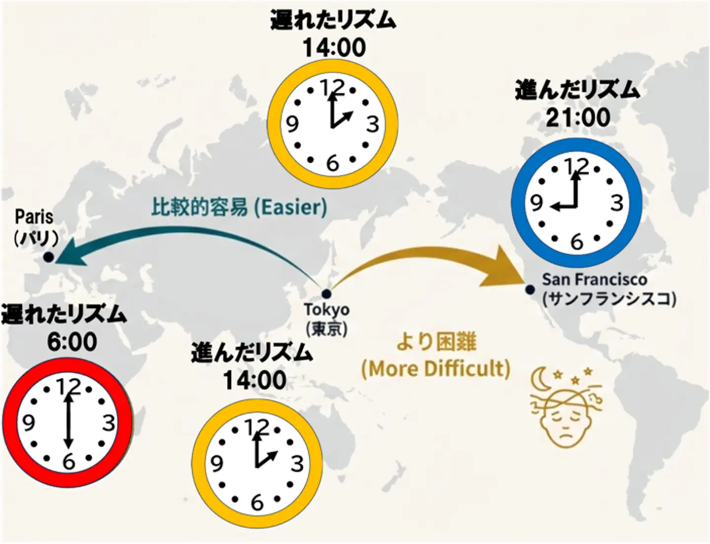 経口投与で体内時計を「進める」新化合物を発見～時差ぼけや概日リズム障害の治療に新たな光～