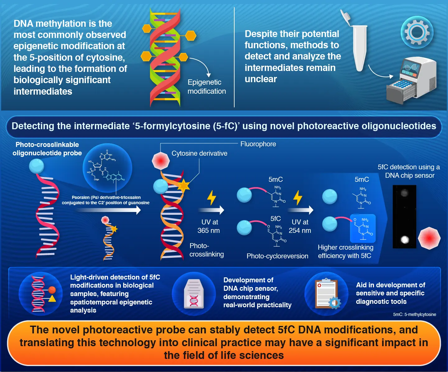 Detection of Epigenetically Important 5-Formylcytosine Modifications Using Novel Photoreactive Oligonucleotides Containing a Trioxsalen-Conjugated Guanosine