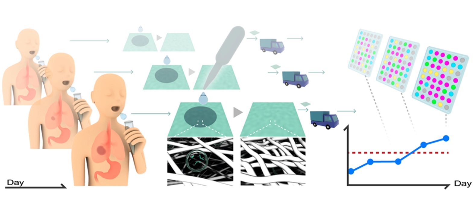 唾液から日常的にがんリスクをモニタリング～セルロースナノファイバーを用いた唾液中のがん由来エクソソーム解析プラットフォームを開発～