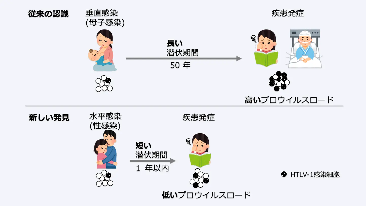 若年層のHTLV-1水平感染による新リスクを発見 | Science Tokyo - 東京