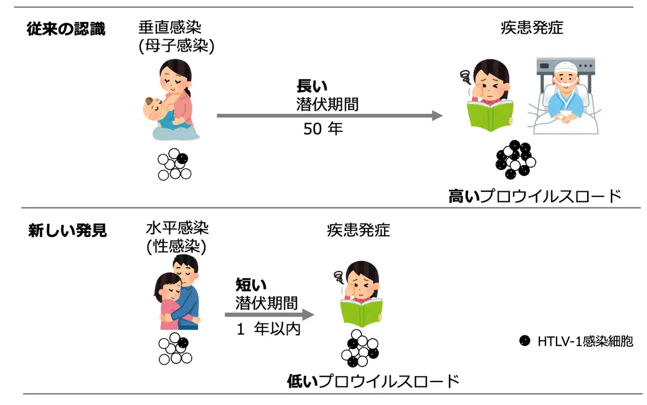 若年層のHTLV-1水平感染による新リスクを発見 | Science Tokyo - 東京