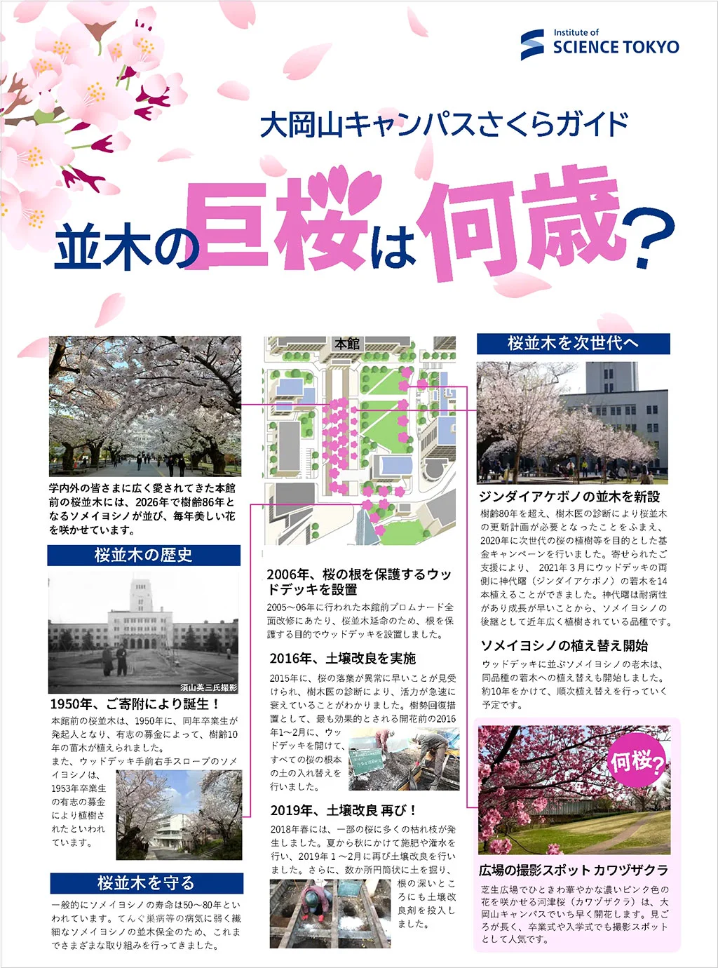 大岡山キャンパスさくらガイド（PDF）