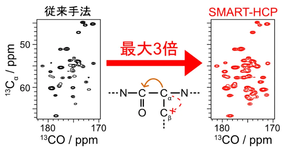 固体 NMR における高効率 13C–13C スピン分極移動法の開発－神経変性病関連の凝集タンパク質の速やかな構造解析に向けて－