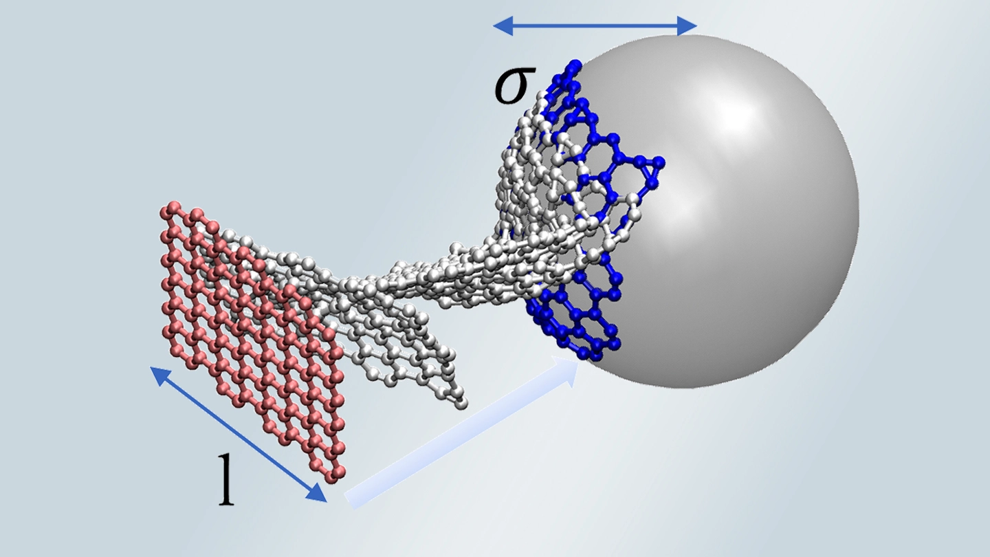 平面から凸型へのグラフェン構造変化 | Science Tokyo - 東京科学大学