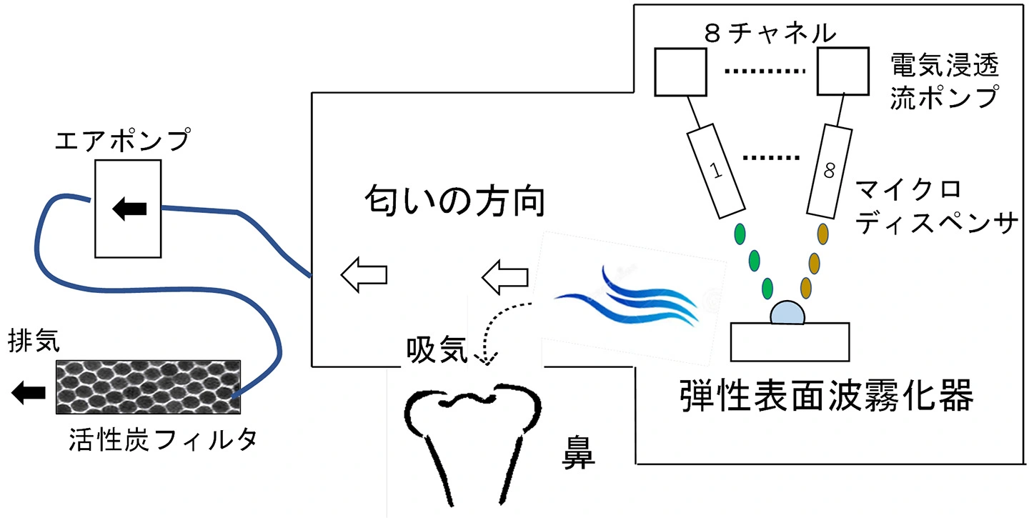 多種類の⾹りを提⽰可能なウェアラブル嗅覚ディスプレイ ―嗅覚コンテンツへの応⽤に期待―