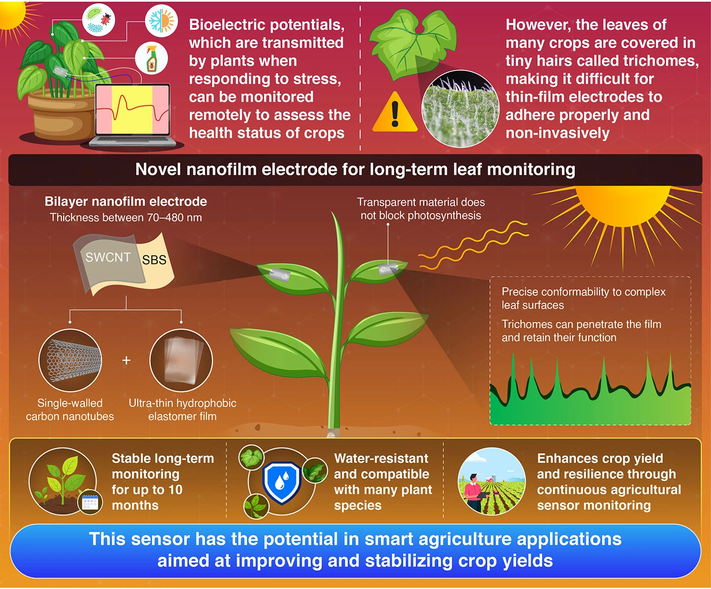 Pierceable, Water-Resistant, and Transparent Nanofilm Electrodes Comprising Carbon Nanotubes for Long-Term Monitoring of Plant Electrophysiology
