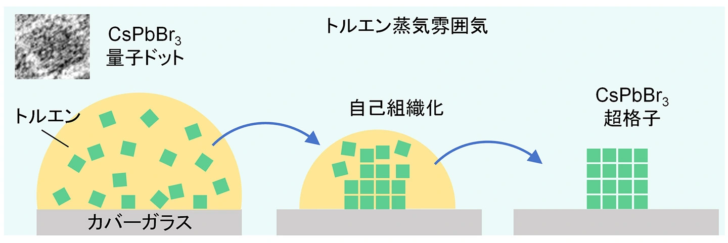 量子ドット超格子の特異な発光を室温で観測 －集団的光ブリンキングと光子バンチング－