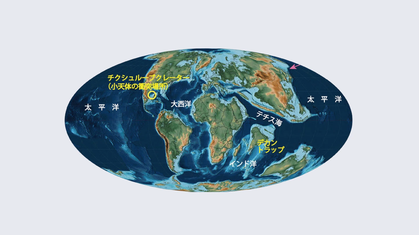 東アジア・北西太平洋域で初 白亜紀末の小惑星衝突を示す「K/Pg境界層