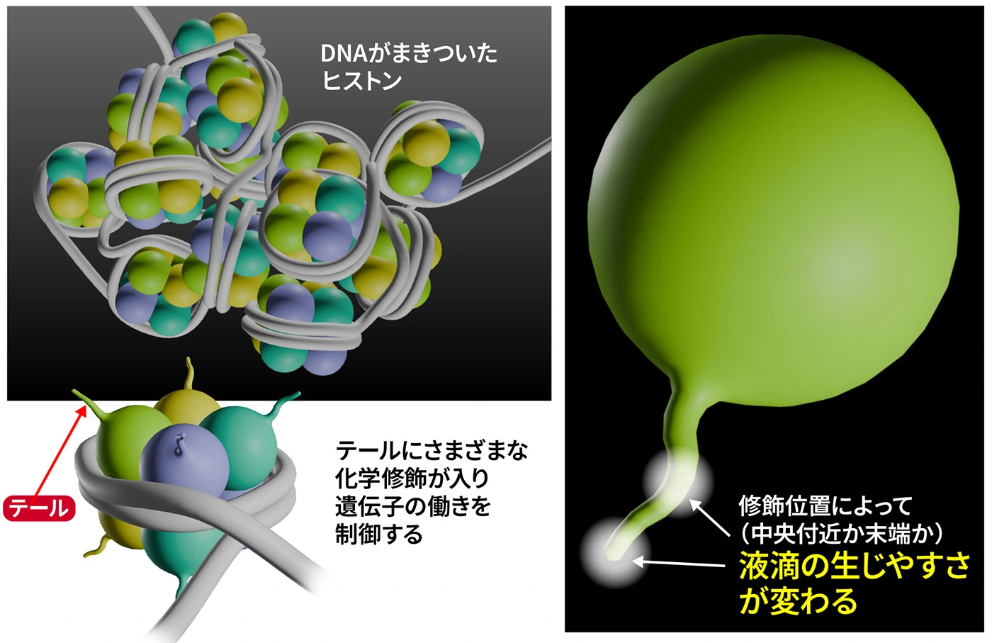 研究の概要図