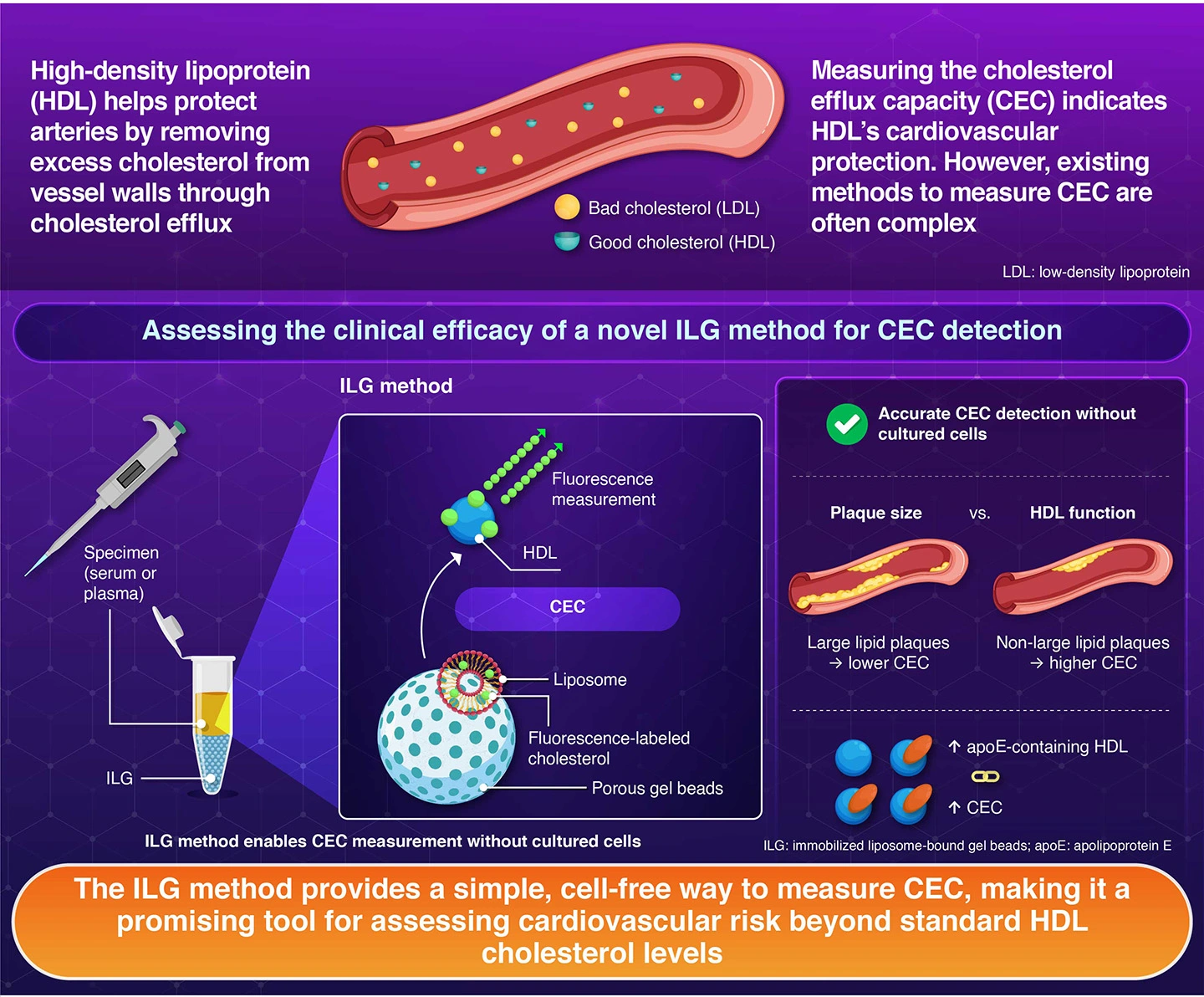 Relationship of atherosclerotic lesion by optical coherence tomography with cholesterol efflux capacity by immobilized liposome-bound gel beads method