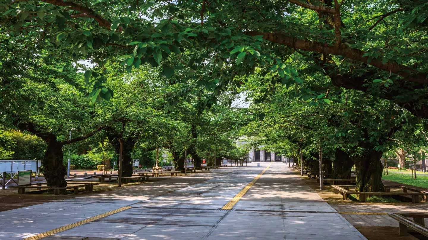 Ookayama Campus