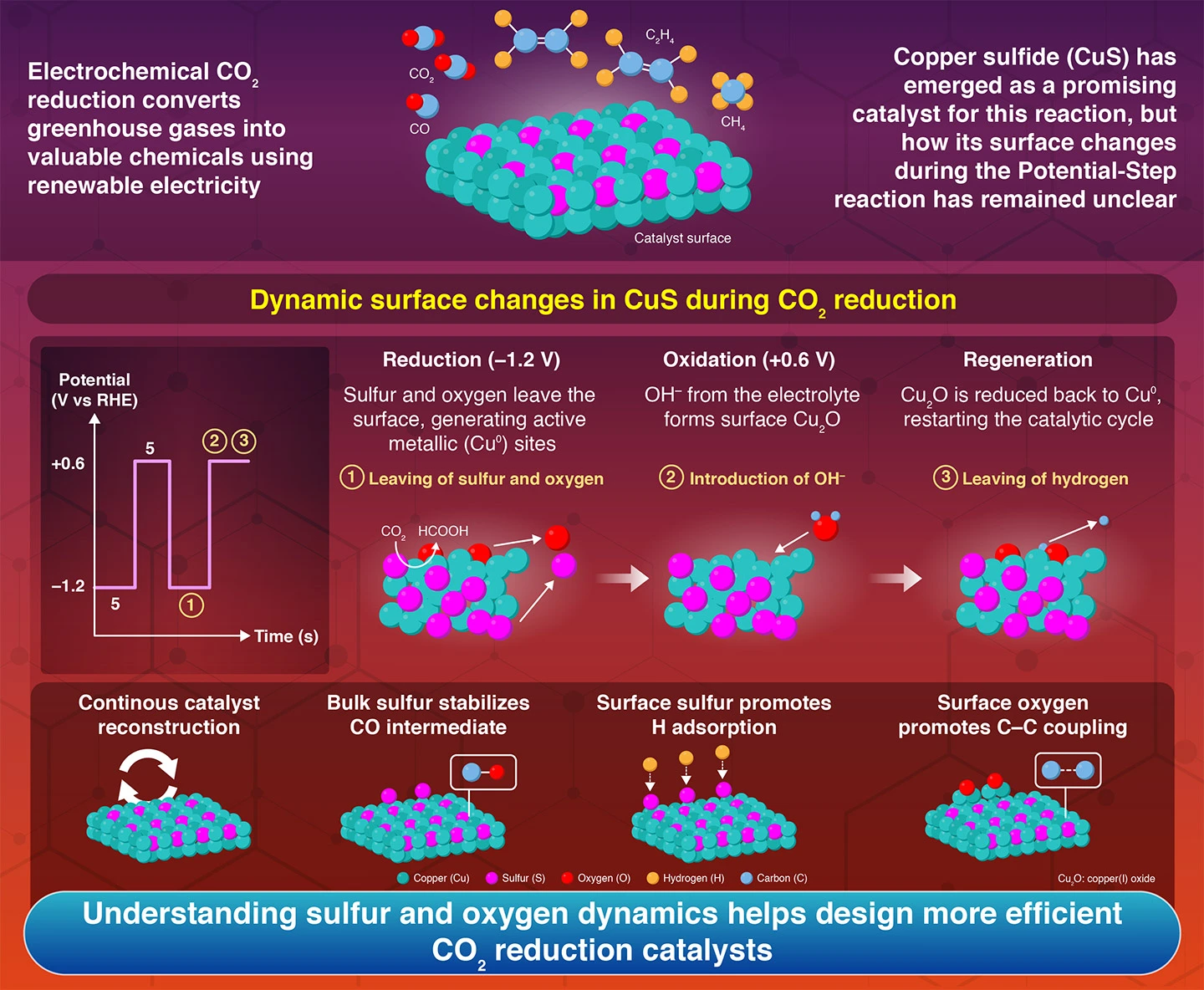 Investigation of Anion Role during Electrochemical CO2 Reduction on  Copper Sulfide (CuS) by Potential-Step Method