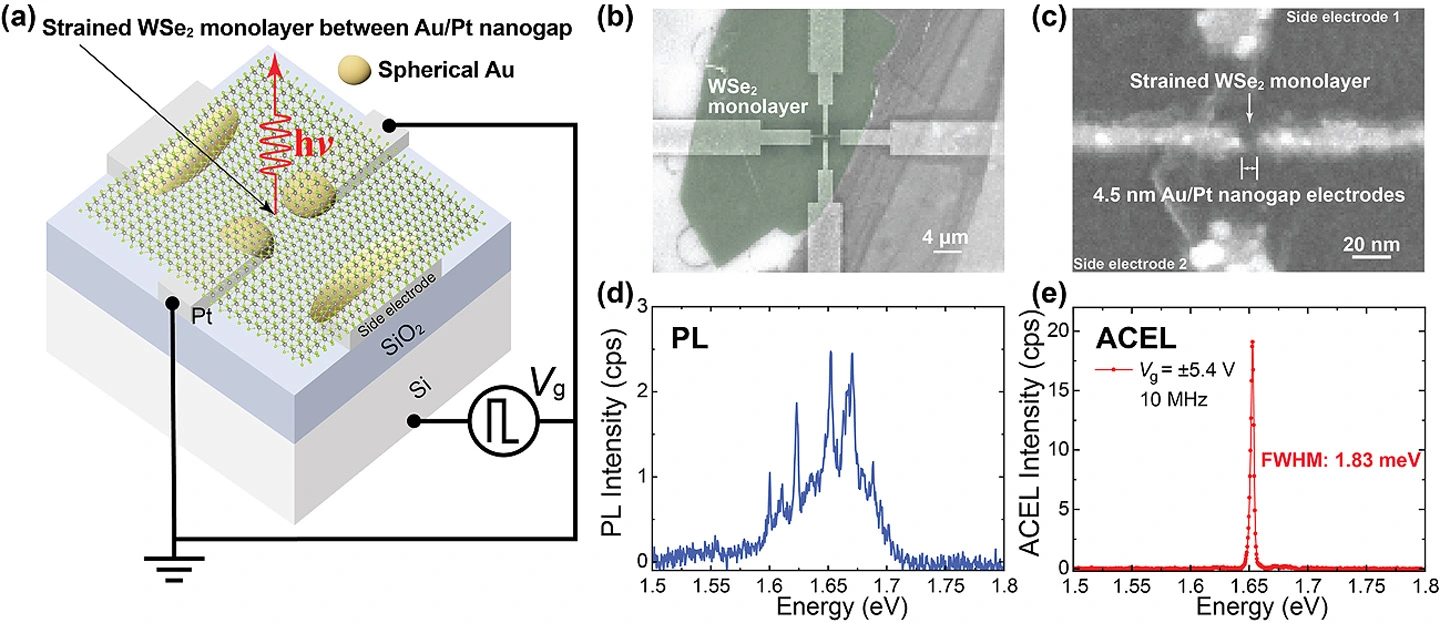 サブ5nmナノギャップで狭線幅電界発光を実現 ~2次元材料オンチップ量子光源への電気駆動基盤~ サブ5nmナノギャップで狭線幅電界発光を実現 ~2次元材料オンチップ量子光源への電気駆動基盤~