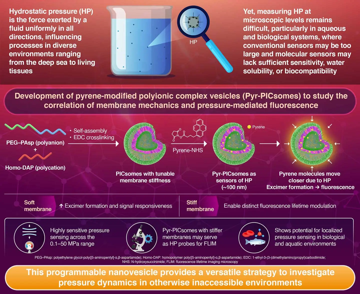 A Programmable Nanovesicle Platform for Megapascal Pressure Sensing