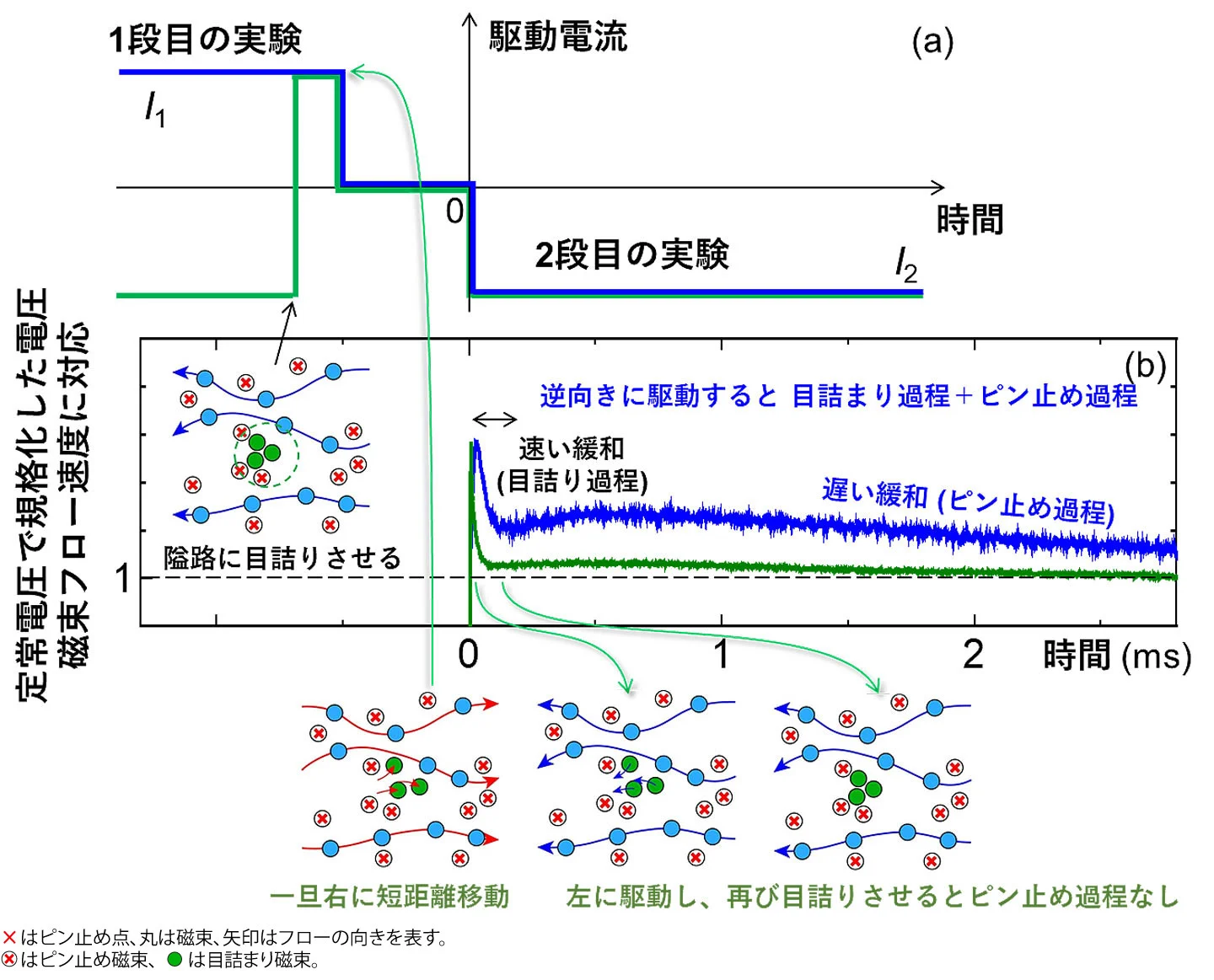 目詰まり現象に潜む共通の原理を解明ーさまざまな目詰まり現象の予測・制御につながると期待ー