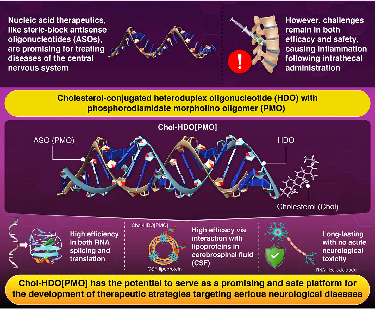 Morpholino-RNA duplex exhibits robust, sustained, and safe steric-block antisense activity by intracerebroventricular and intrathecal injection