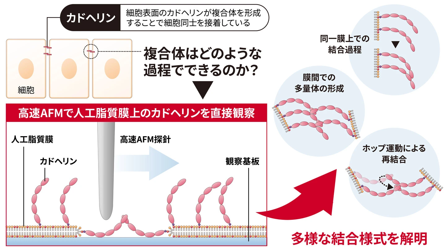概要図