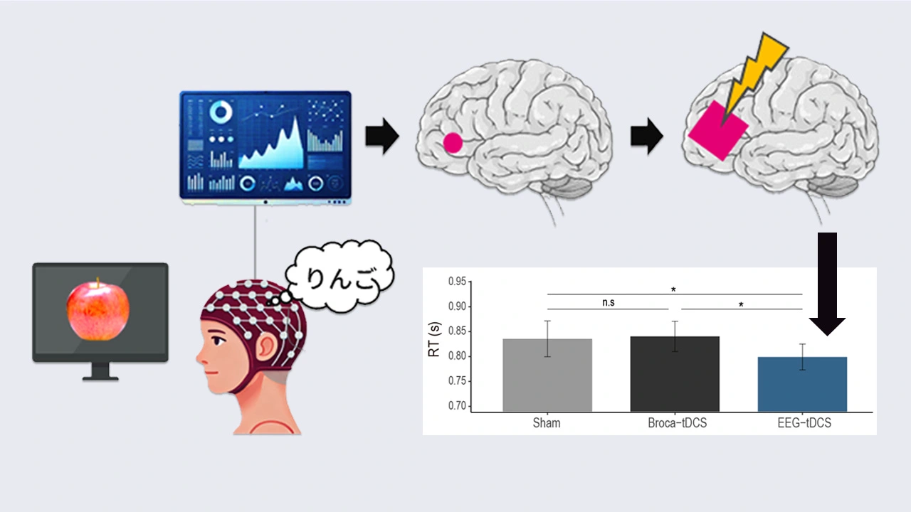 脳波信号で言語機能脳領域の個人差を推定 | Science Tokyo - 東京科学大学