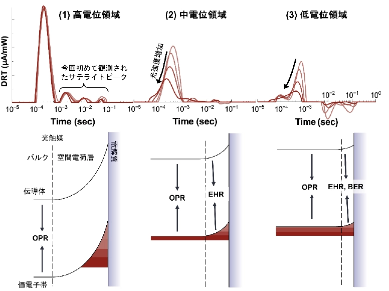 光電極の反応メカニズムを解明 | Science Tokyo